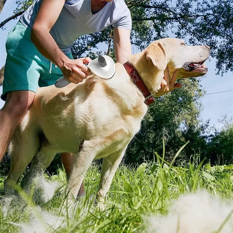 Cepillo Autolimpiante para perros y Gatos