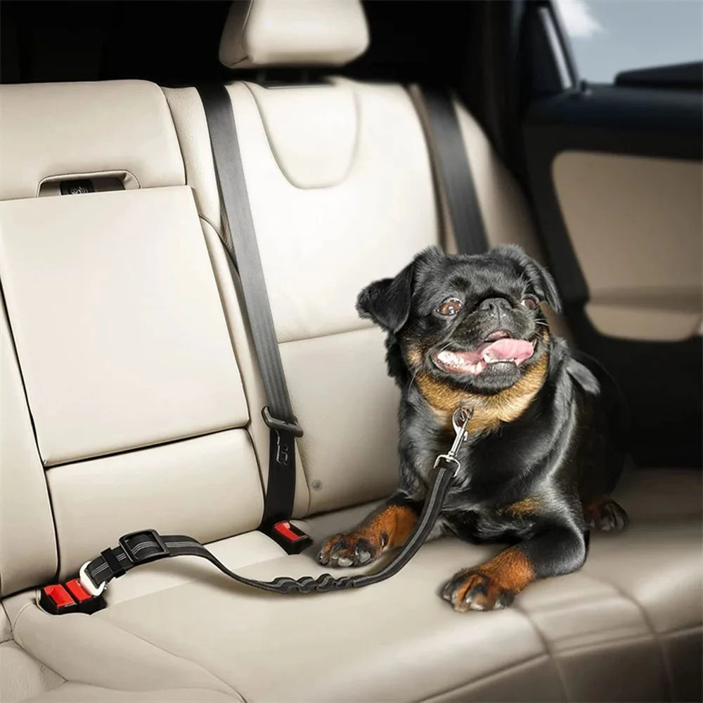 Cinturón de sujeción para perros en coche -Ajustable y Reflectante