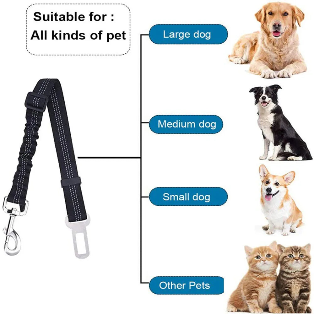 Cinturón de sujeción para perros en coche -Ajustable y Reflectante