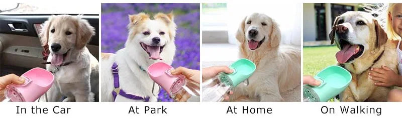 Botella de agua portátil 550 ml para perros