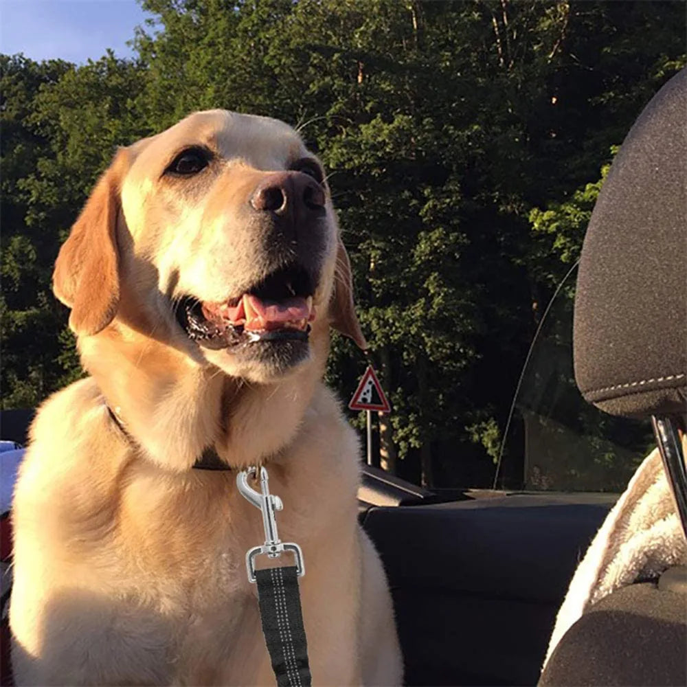 Cinturón de sujeción para perros en coche -Ajustable y Reflectante