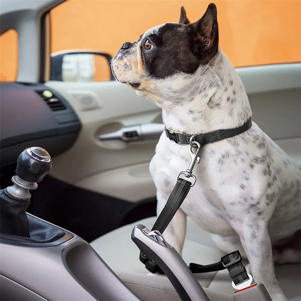 Cinturón de sujeción para perros en coche -Ajustable y Reflectante