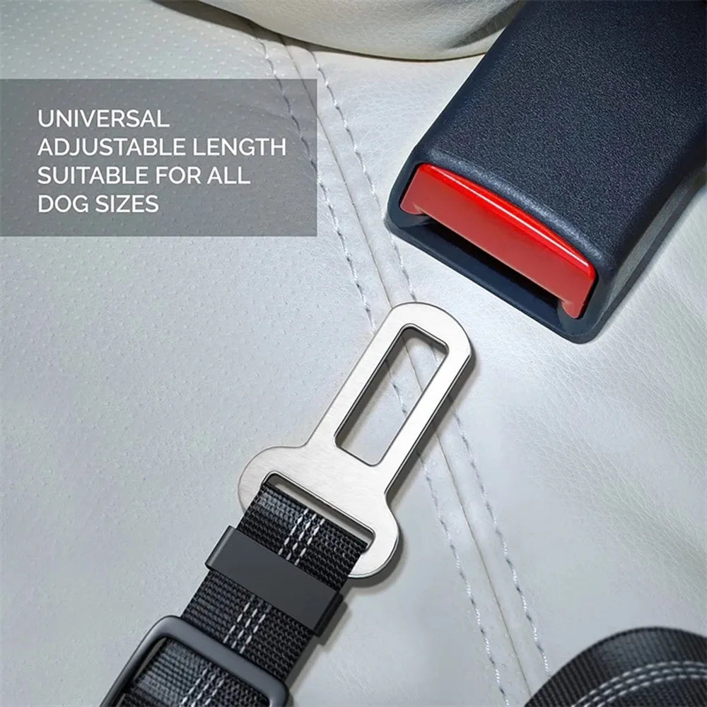 Cinturón de sujeción para perros en coche -Ajustable y Reflectante